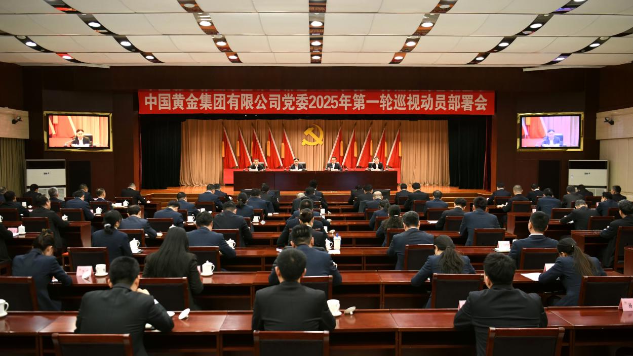 集團(tuán)公司黨委召開2025年第一輪巡視動(dòng)員部署會(huì)